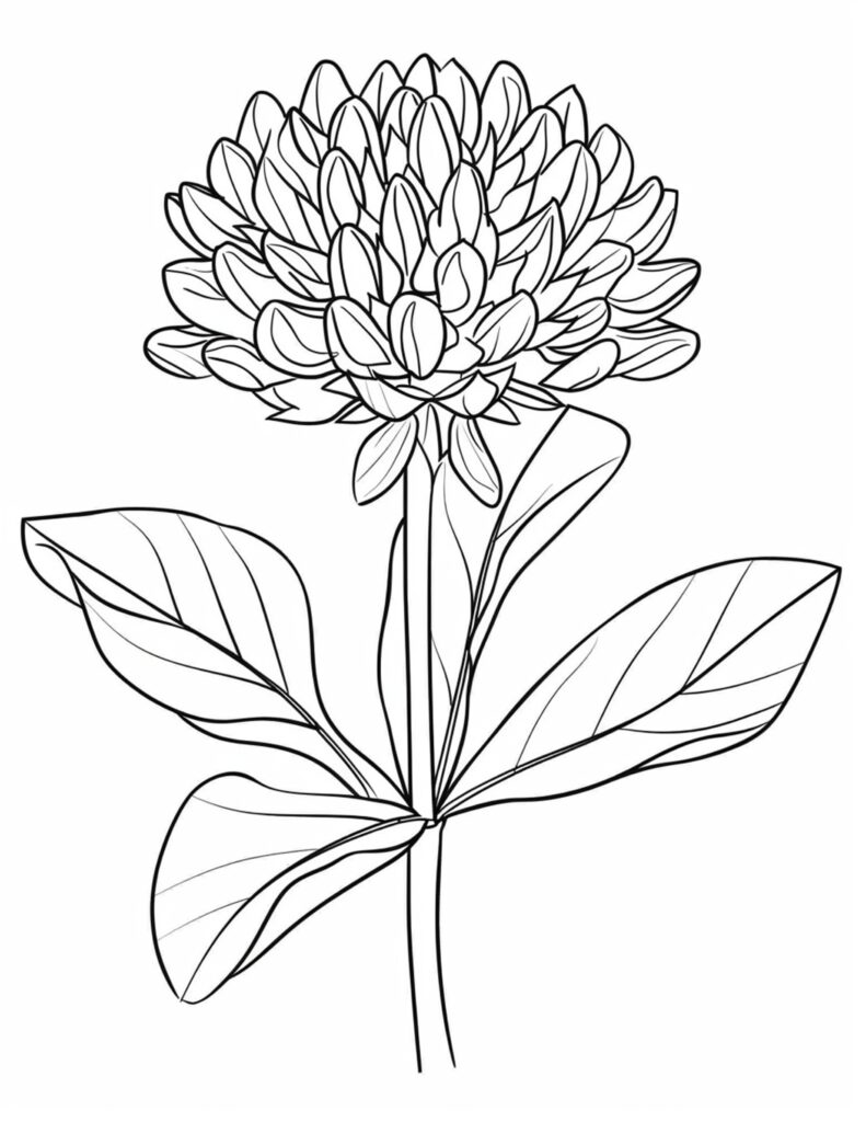 Flower Coloring Pages for Adults