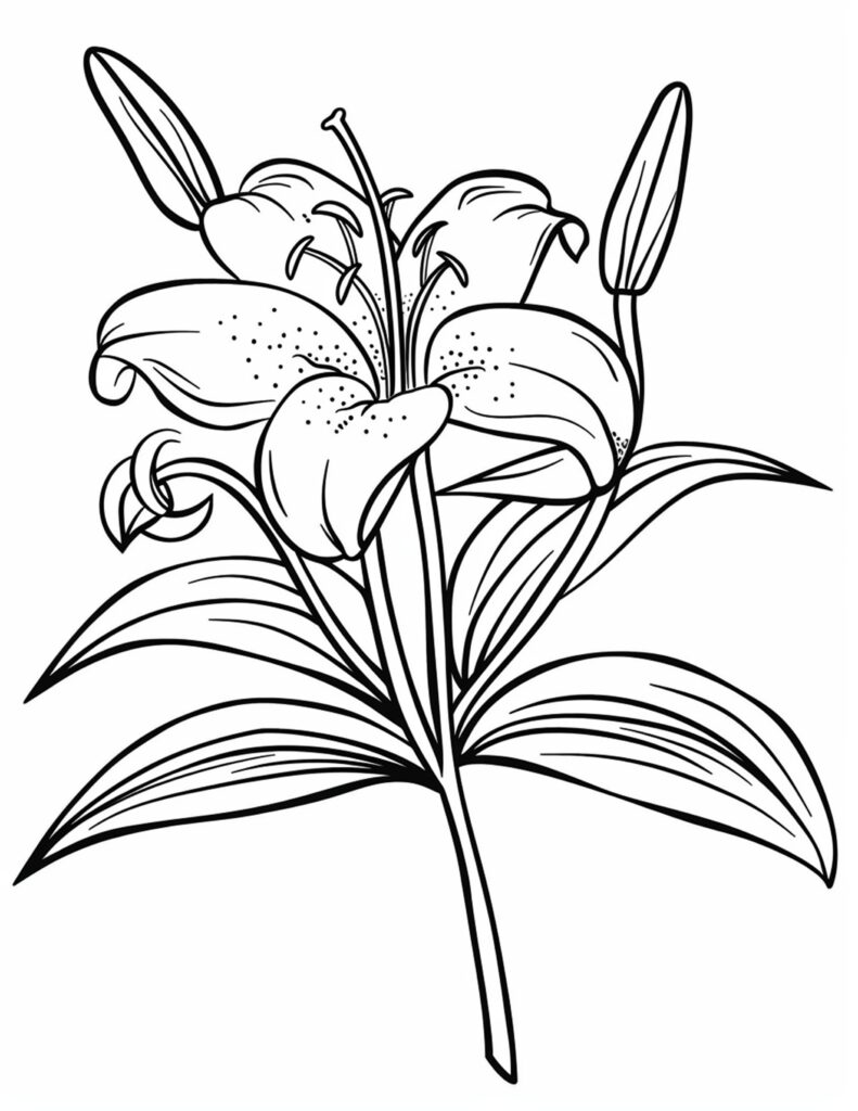 Flower Coloring Pages for Adults