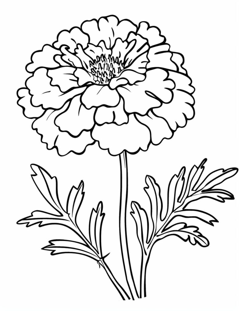 Flower Coloring Pages for Adults